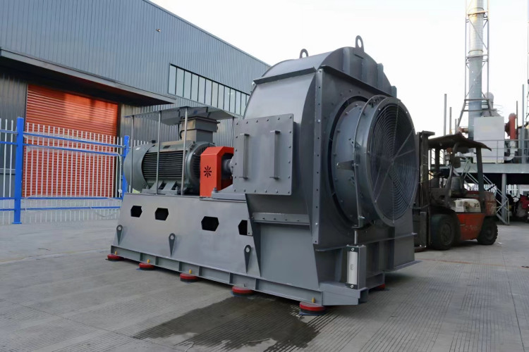 �е͉����L�����m�L�C�㶦GY4-686.3���x���L�C΁��������������